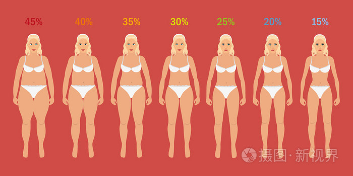 阶段的女人苗条与体脂百分比