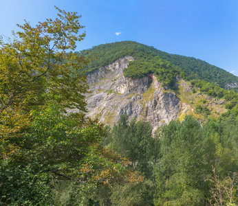 绿色的落基山