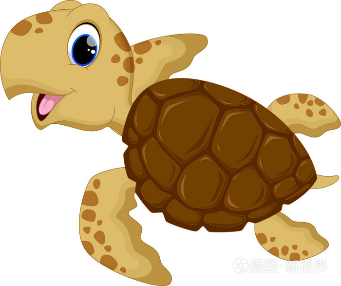 可爱的小海龟卡通插画-正版商用图片1k8cvy-摄图新视界