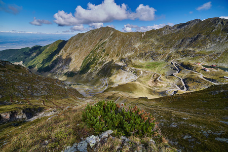 高山在夏天