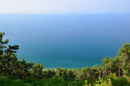 海海岸夏季