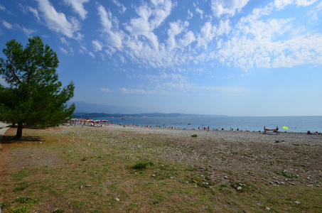 海海岸夏季