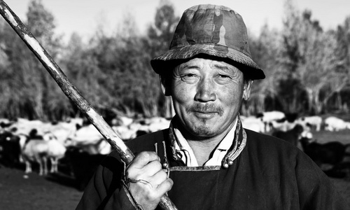 蒙古人农民