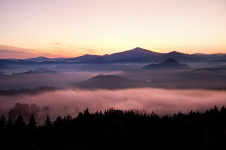 在美丽的山丘的朦胧破晓。山山峰从雾背景伸了出来，雾是黄色和橙色由于太阳光线。雾树木之间摇摆