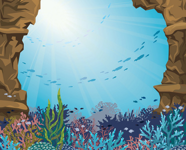 水下洞穴和珊瑚礁