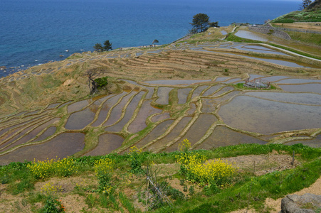 在石川 Shirayne Senmaida