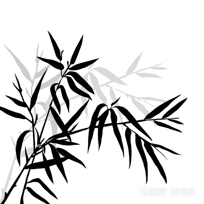 顶部的竹子插画-正版商用图片1kbw1e-摄图新视界