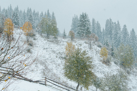 乌克兰山区村庄降雪图片