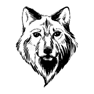 标记手绘森林动物狼