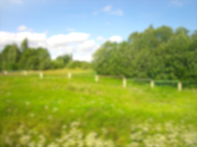 绿色的夏天 和风景 bokeh 背景