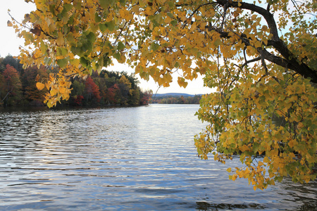 秋天颜色由湖