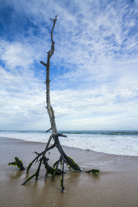 阿努拉德普勒海滩景观斯里兰卡