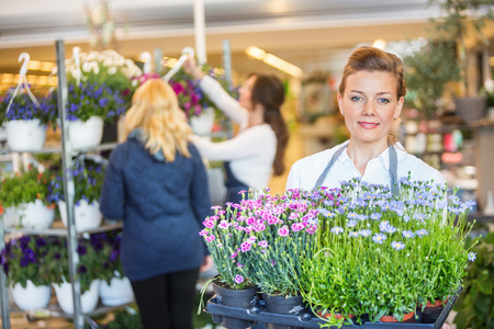 花店携带花卉植物与同事协助客户