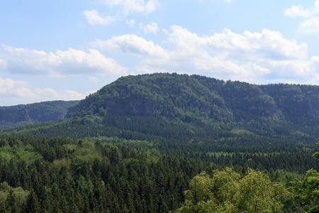 全景与山克莱纳温特伯格和森林看到从库赫斯特尔在瑞士撒克逊