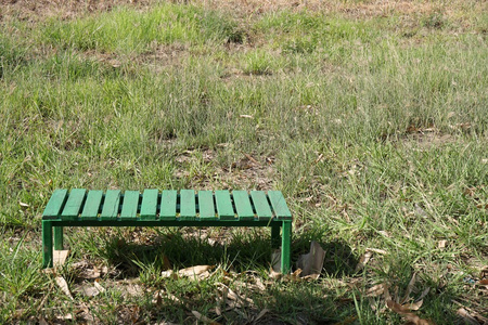 草地上的绿色长凳