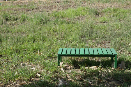 草地上的绿色长凳
