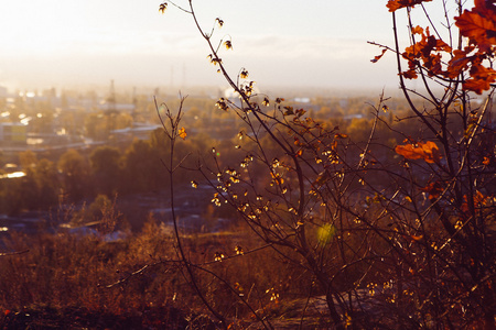 黄色秋天在基辅, 基辅工业看法在秋天日落