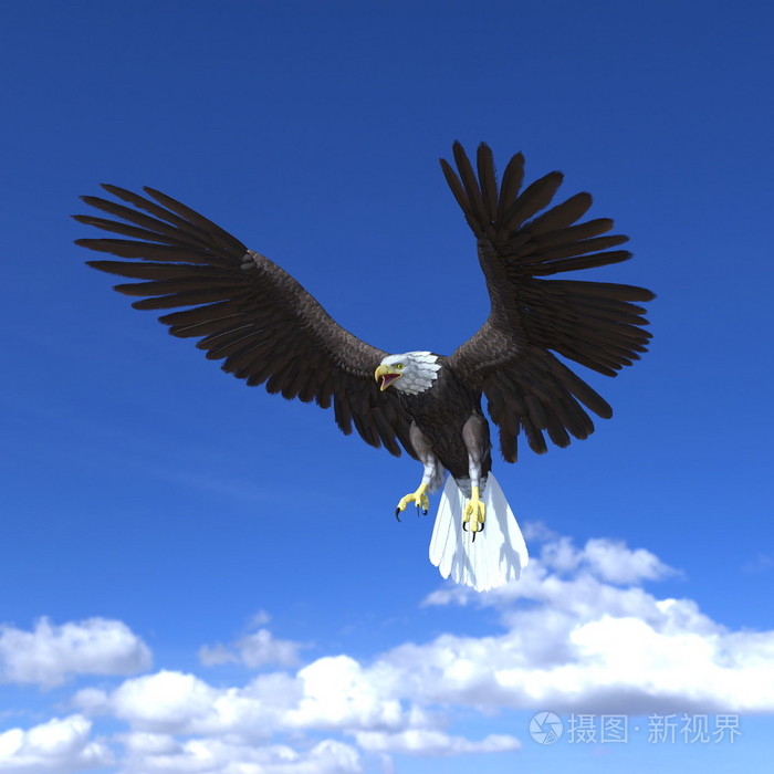 秃头鹰和天空3d插图