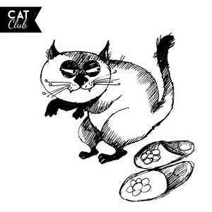 草绘的猫性格