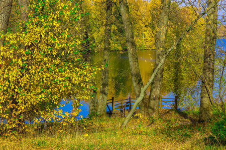 五颜六色的树在湖旁边与木码头