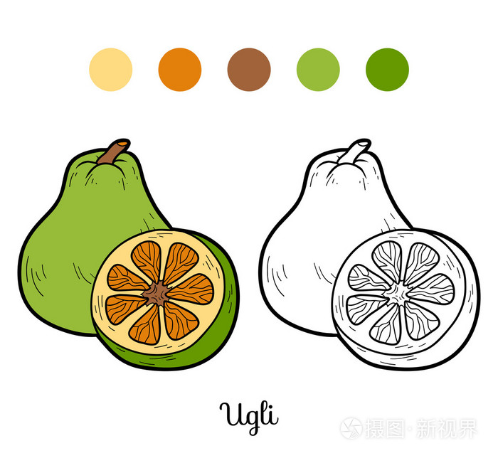 儿童着色书:水果和蔬菜(ugli)