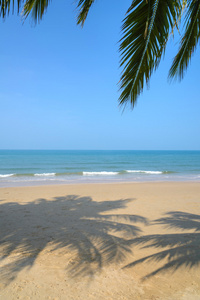 热带海滩与椰子棕榈在夏季时间