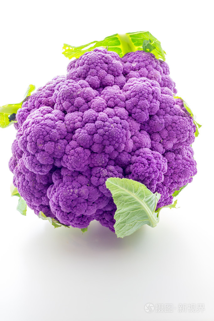 美丽的紫色花椰菜