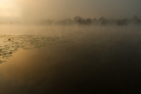 河上的日出薄雾画在深褐色图片