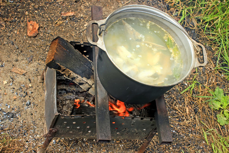 在一口锅着火的烹饪鱼汤。