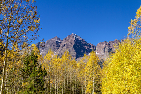 栗色的钟声 Aspen 公司上午