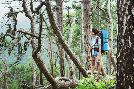 白种人的徒步旅行者女人上跋涉在山与背包生活健康积极的生活方式。对自然景观的徒步旅行者女孩