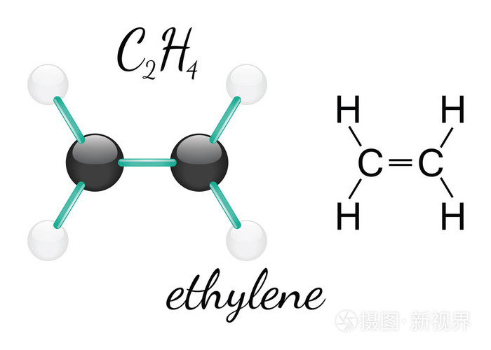 C2h4 乙烯分子
