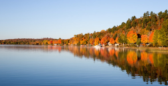 秋天的颜色倒映在平静的湖图片