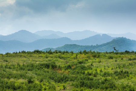 绿色的原野和山