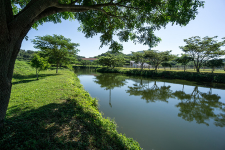 湖泊和森林