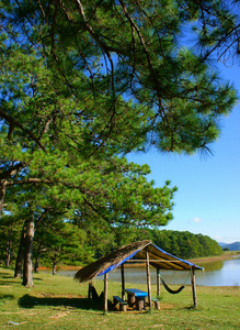 大叻, 苏奥旺, 旅游, 松树林, 生态旅游