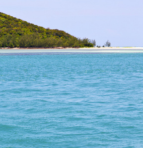 南 kho 帕岸湾海岸线泻湖和树