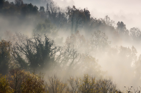 早期与雾中 Zagorochoria，伊庇鲁斯希腊的秋天风景