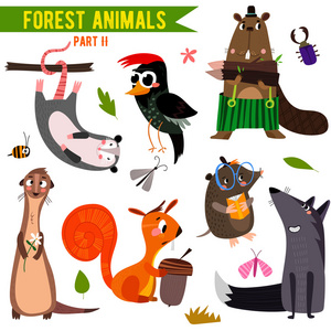 可爱的林地和森林动物