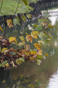 在秋天对湖的反射