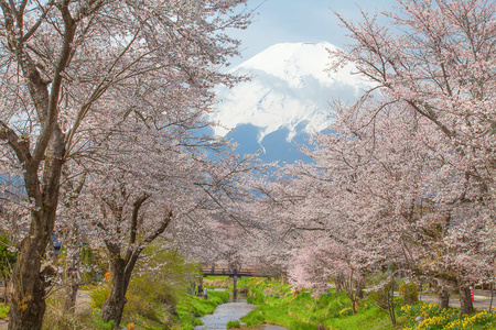 富士山景