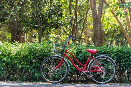 红色自行车站在公园