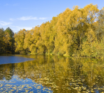 秋天风景, 伊兹迈洛夫斯基公园