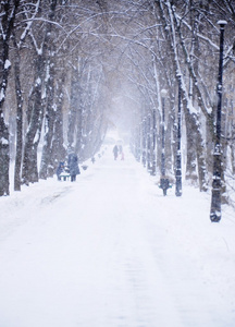 冬季公园降雪