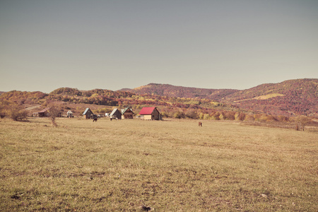 秋天的乡村风景在山