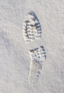 雪上的脚印