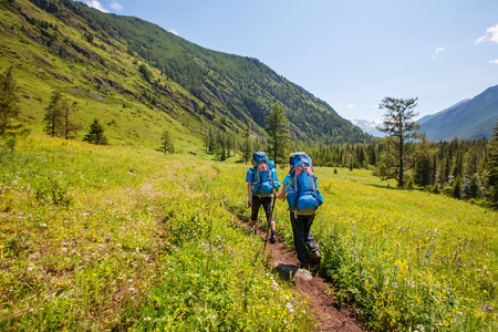 俄罗斯联邦阿尔泰山的徒步旅行者