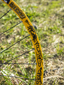 黄色自行车轮圈
