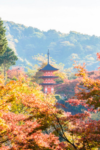 清水寺在秋天的季节