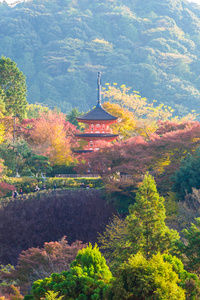 清水寺在秋天的季节